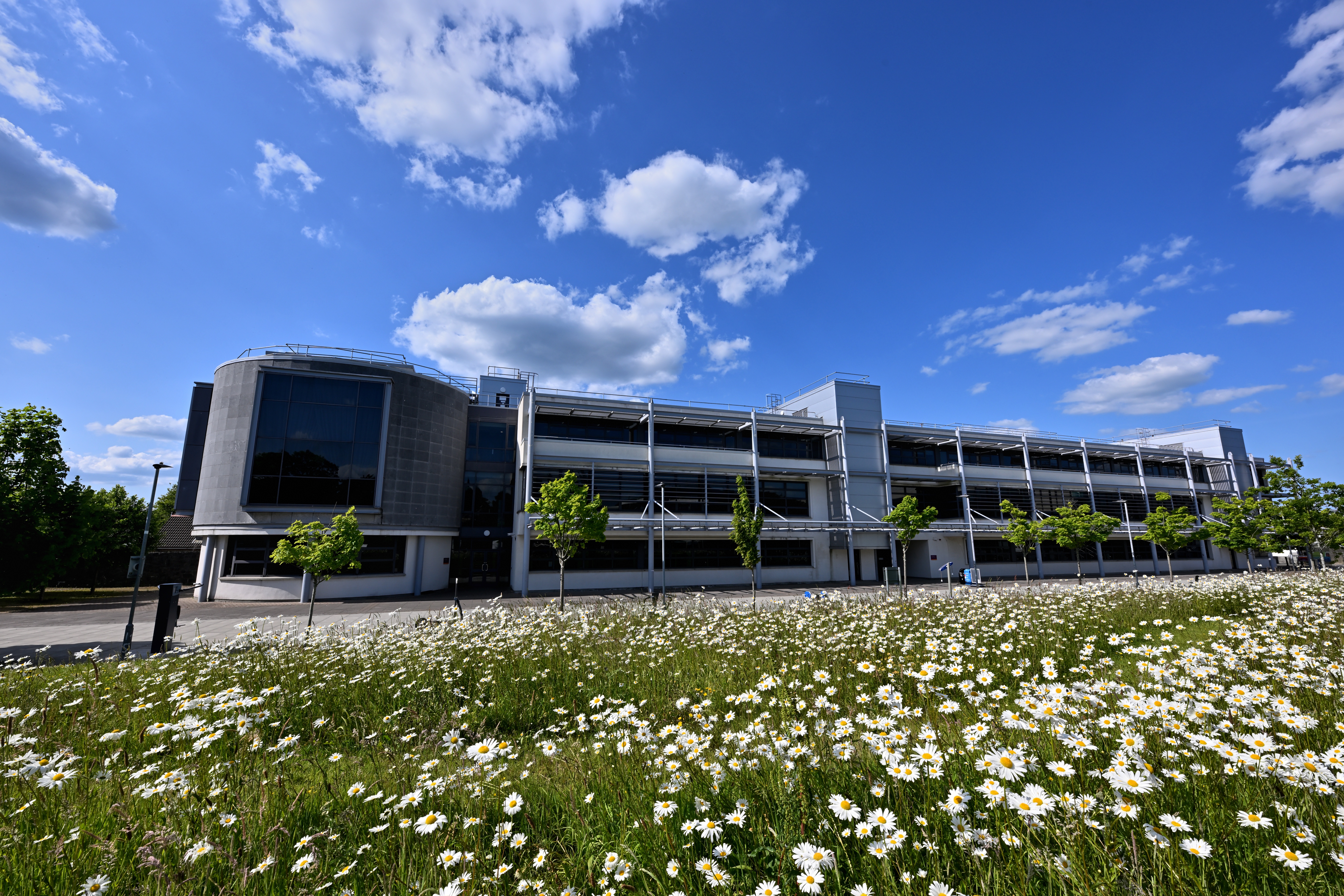 University of Galway: Arts
      Millenium Building